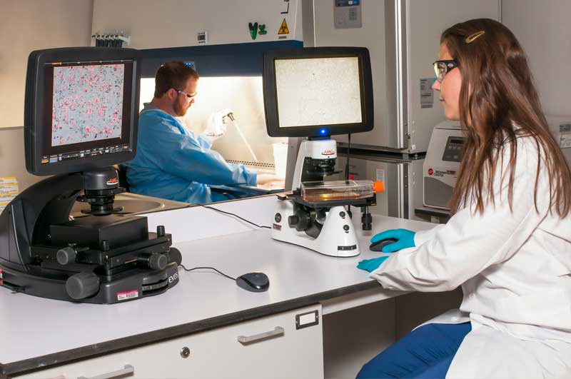 Potential solutions that can help address clinical laboratory employee shortage